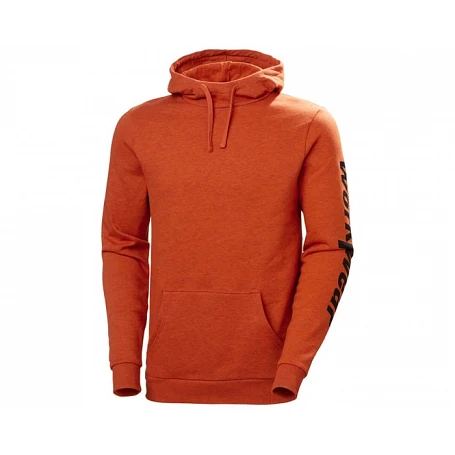 Sweat Homme LOGO HOODIE - HELLY HANSEN