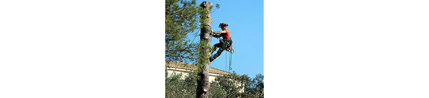 Gants bucheron - Bûcheron / Élagueur - Tenues espaces verts - Métiers