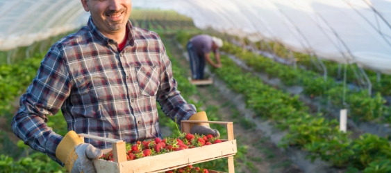 LES EPI ADAPTÉS AUX AGRICULTEURS ET PAYSAGISTES